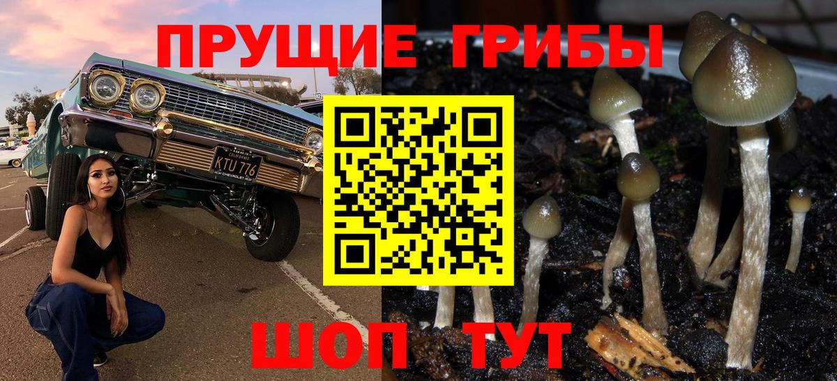 Псилоцибиновые грибы Psilocybe  Вход с VPN  Медногорск 