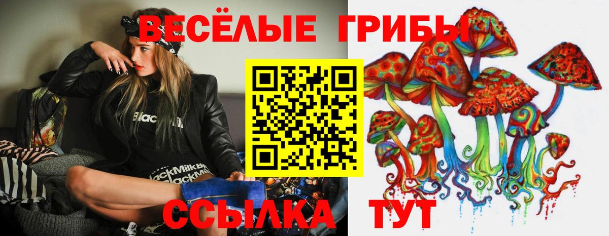 Галлюциногенные грибы Psilocybe Медногорск